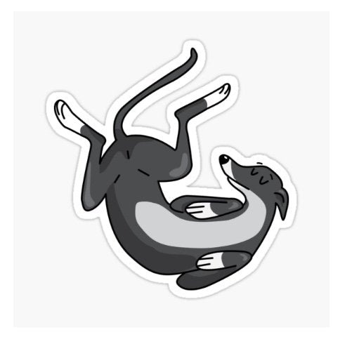 Chill Greyhound