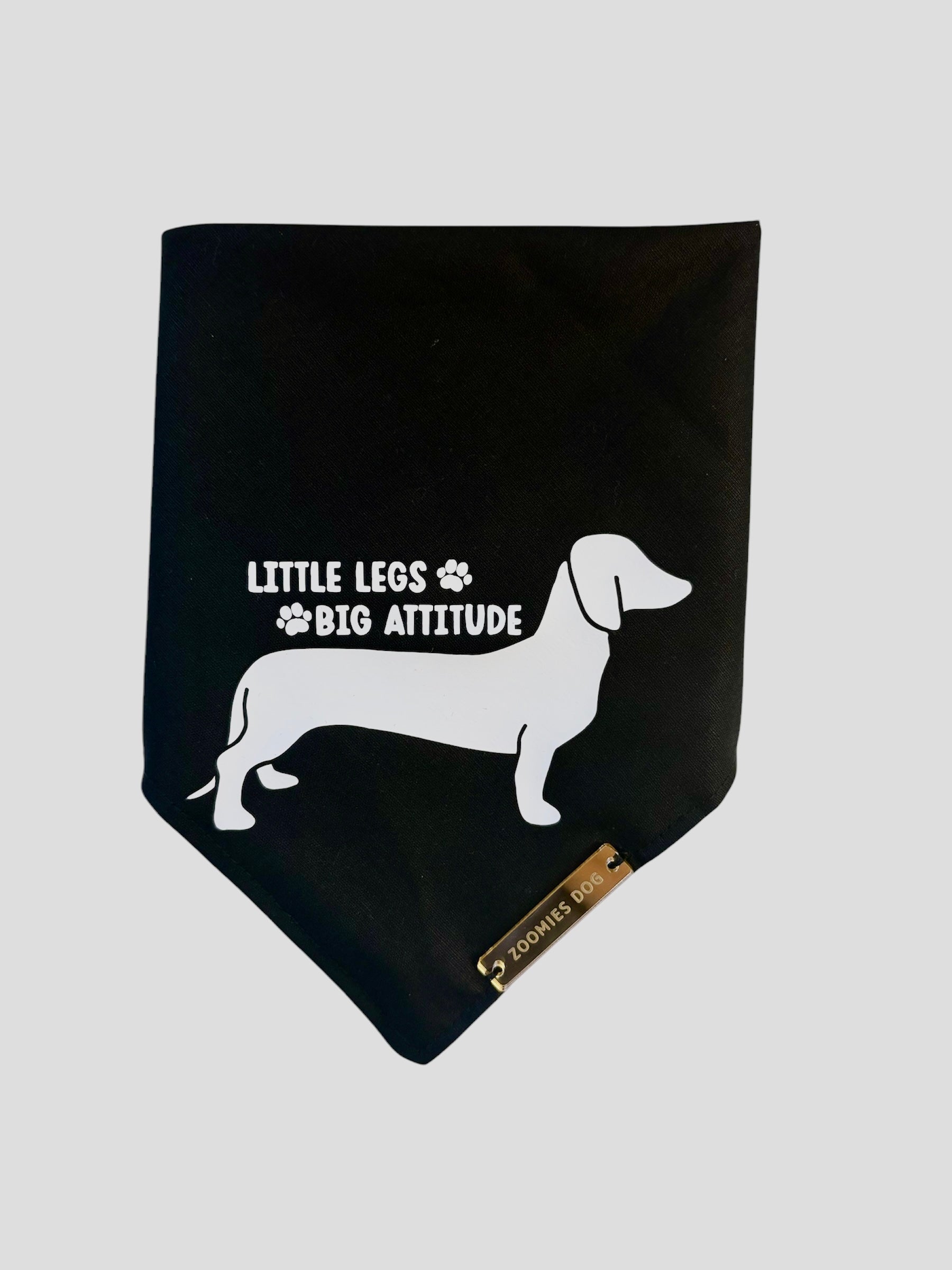 Little Legs, Big Attitude - Main Image