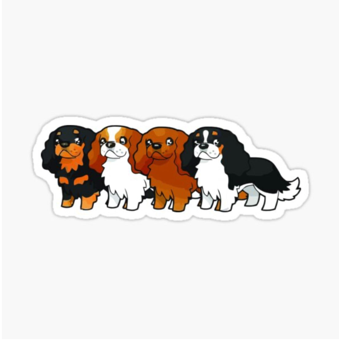 Cavalier Collection