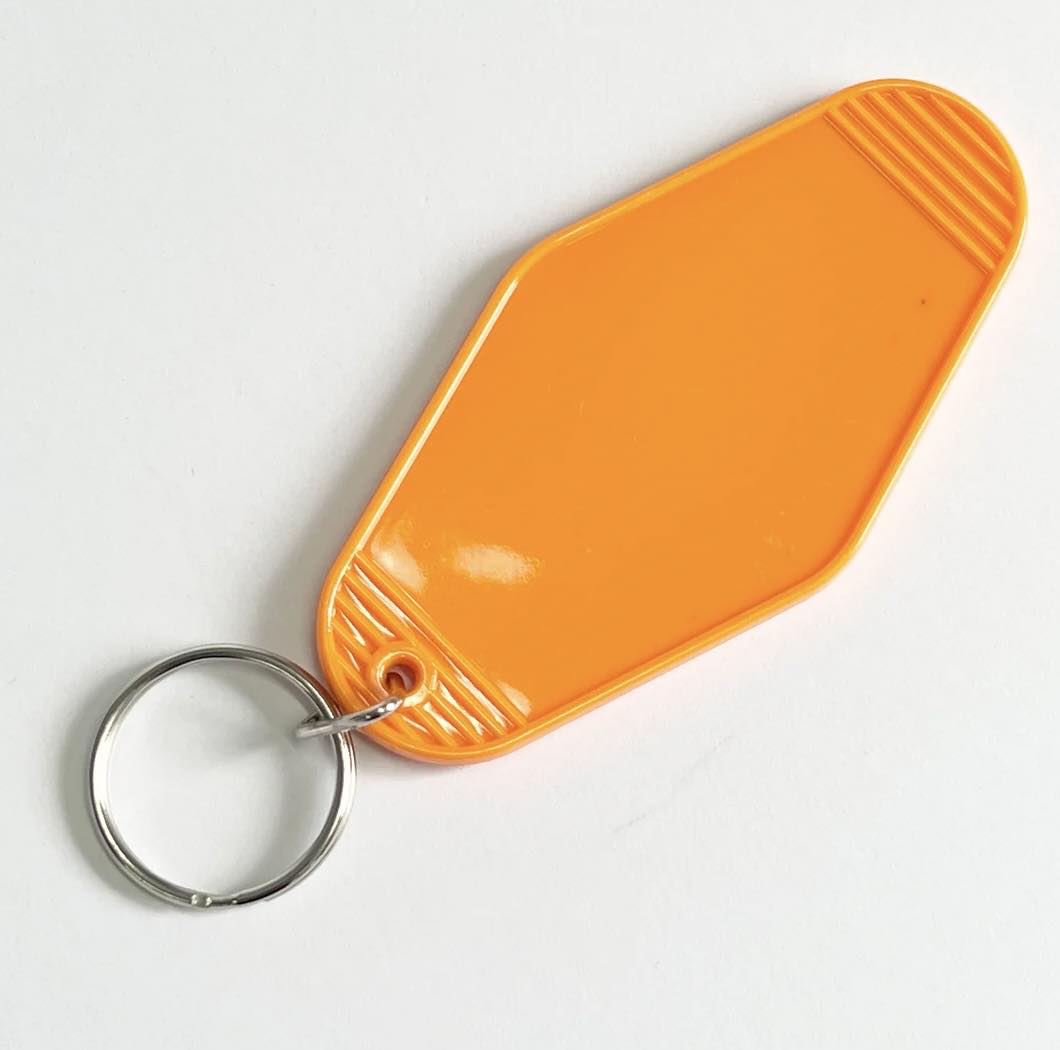 Can I bring my dog? keyring