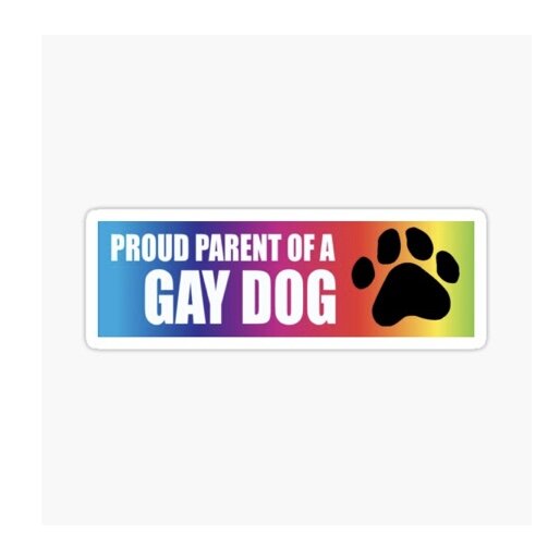 Proud Gay Parent of a Gay Dog