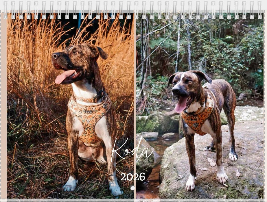 2026 Personalised Pet Calendar [PRE-ORDER]