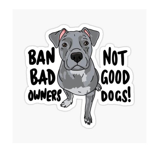 Bully Support