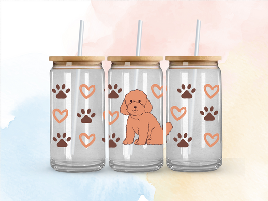 Cavoodle paws
