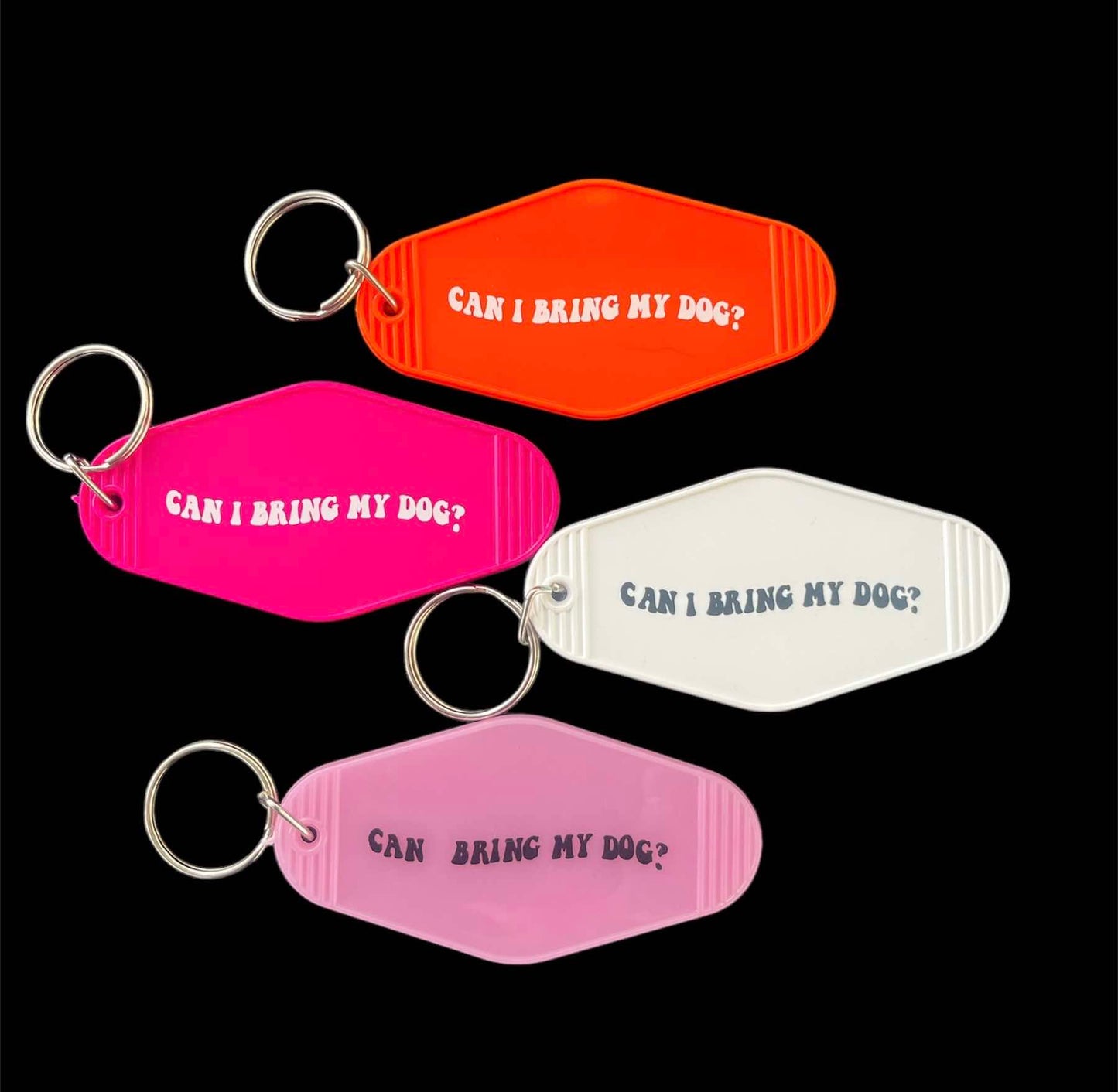 Can I bring my dog? keyring
