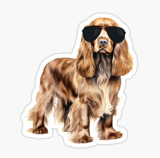 Cocker Spaniel