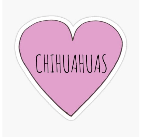 Chihuahua love