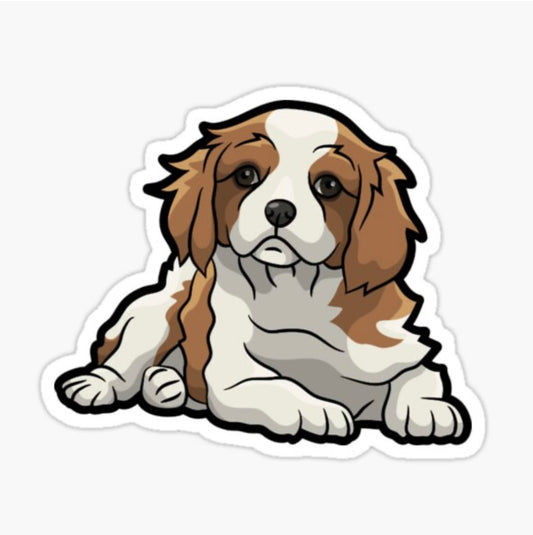 Cavalier