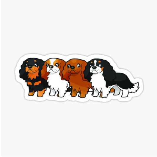 Cavalier Collection
