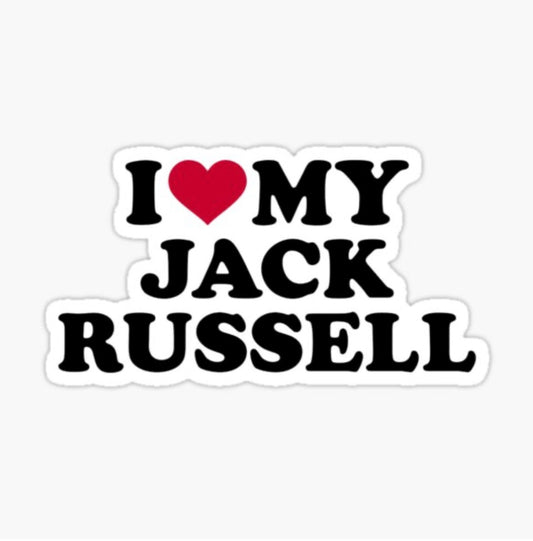 I love my Jack Russell