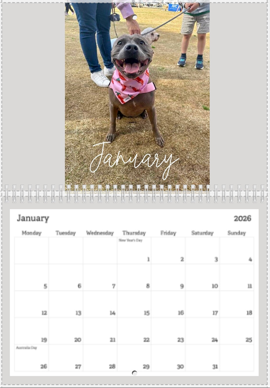 2026 pet calendar [PRE ORDER]