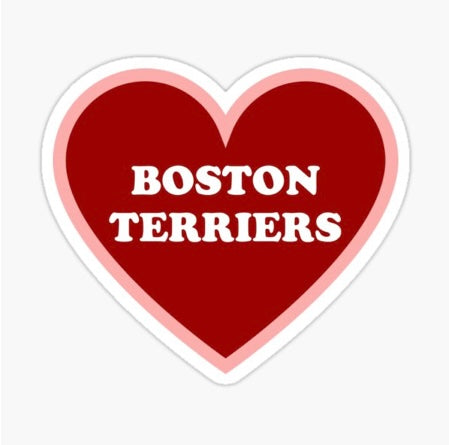 Boston Terriors