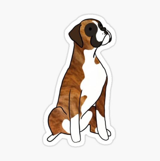 Boxer