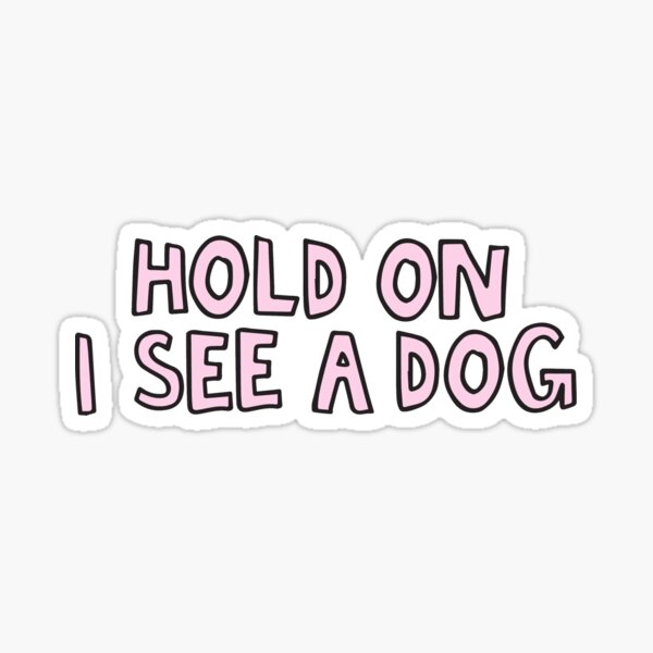 Hold on, I see a dog