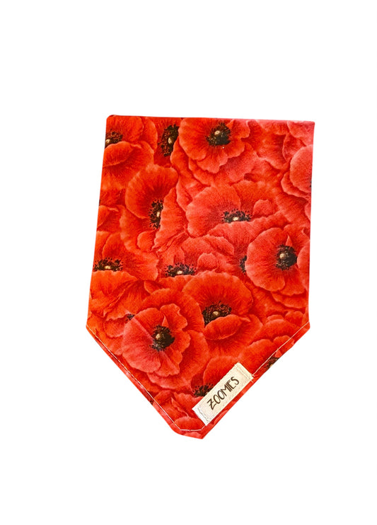 Poppy