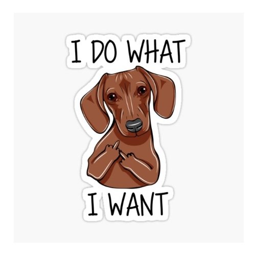 I do what I want