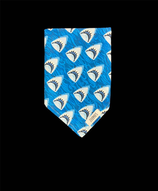 Sharkie