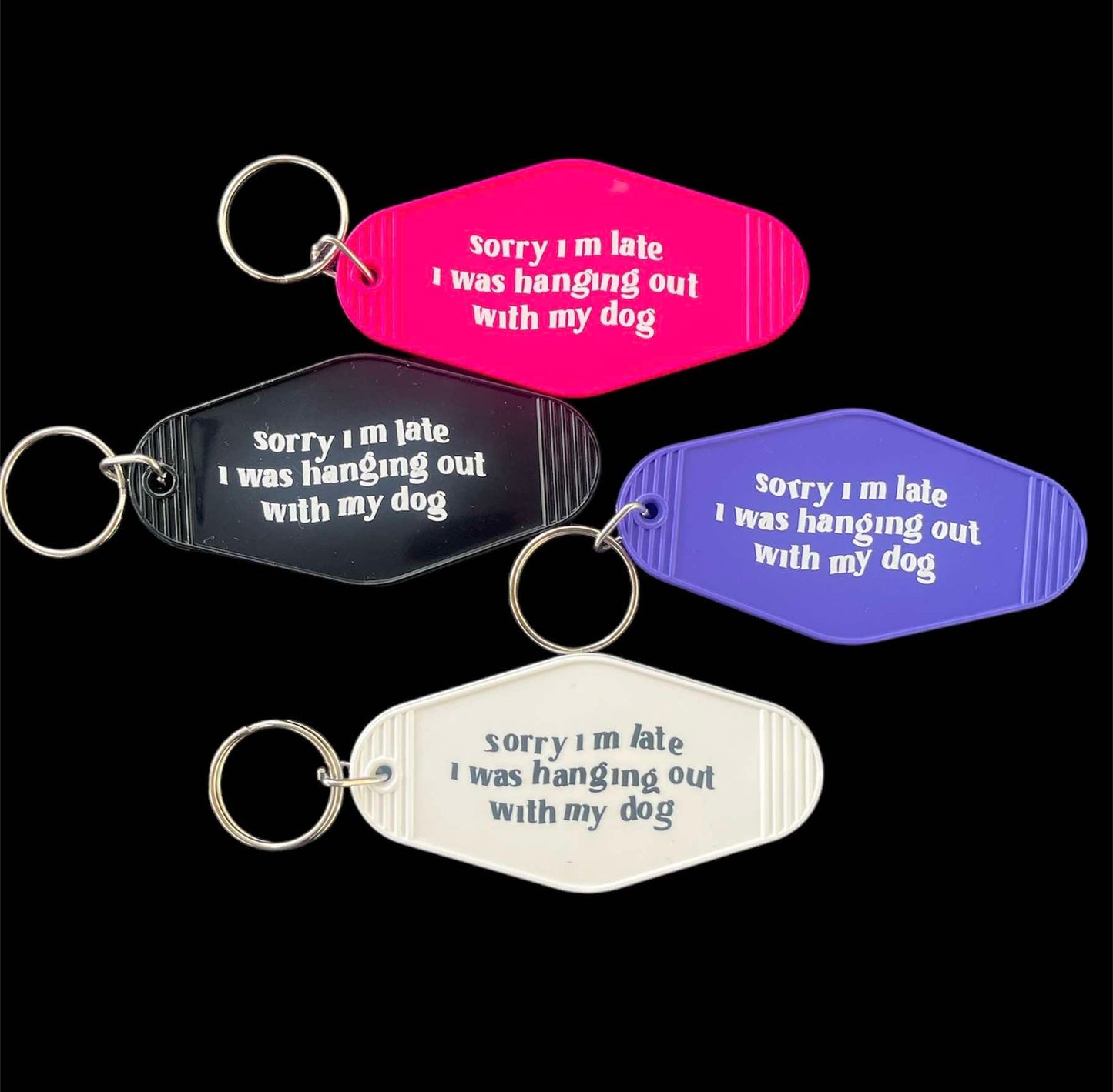 Sorry I'm Late, I was hanging out with my dog keyring