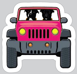 Zoomies Jeep